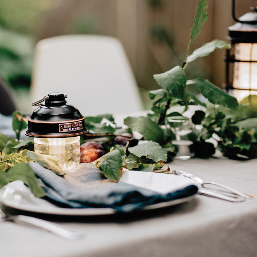 Beacon Hanging Lantern Bronze - BARE295