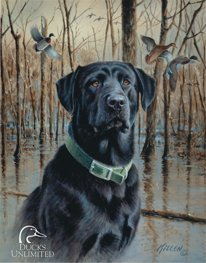 Ducks Unlimited - TSN1203