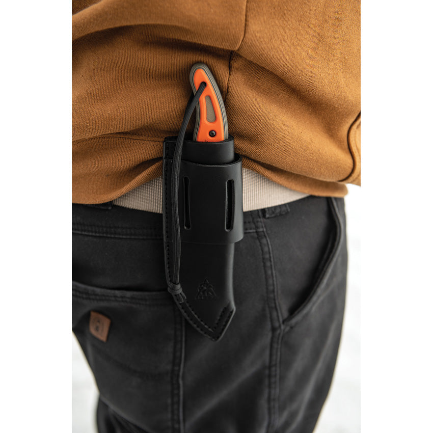 Field Dog - TPFDOG01