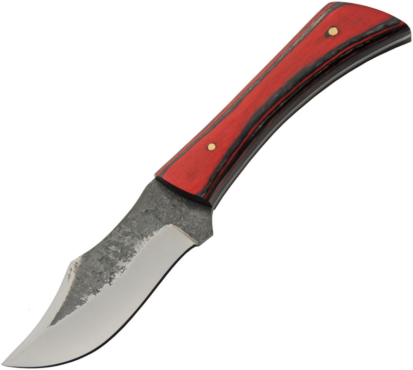 Torch Skinner - PA4455