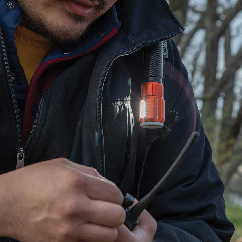 Lantern Flashlight - BFBBM6412