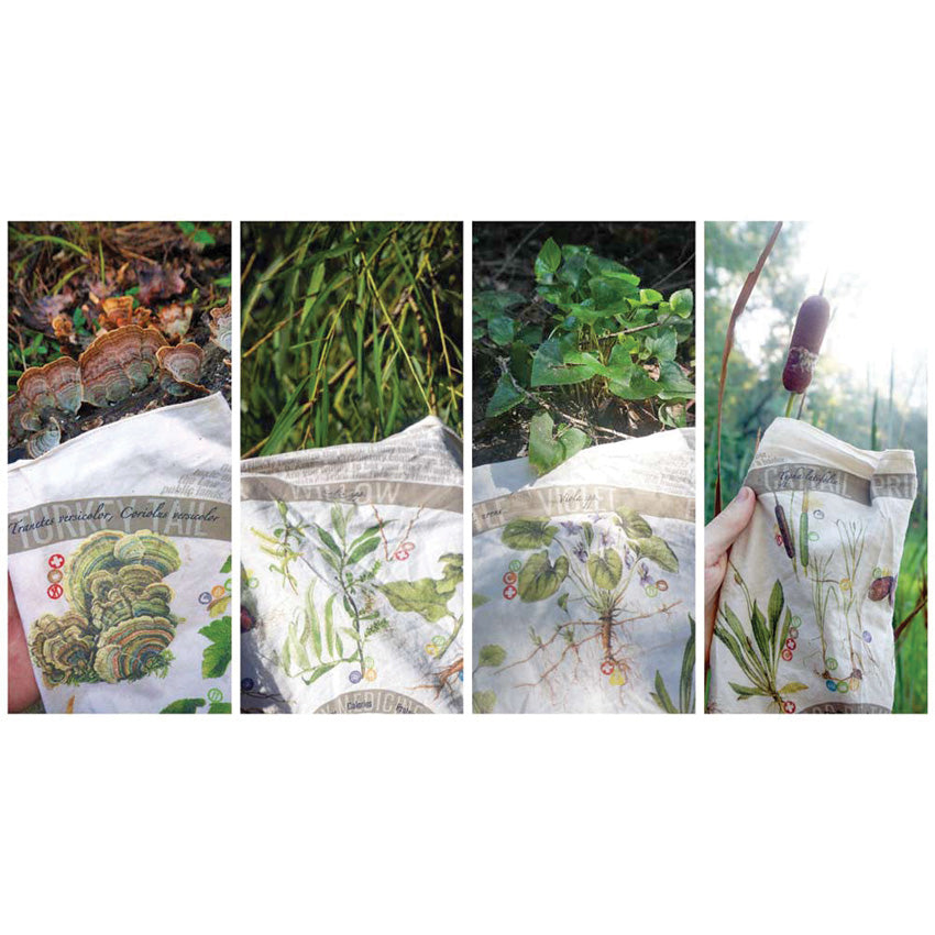 Bandana Foraging Reference - WSG008