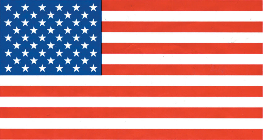 USA Flag - FLAG6878