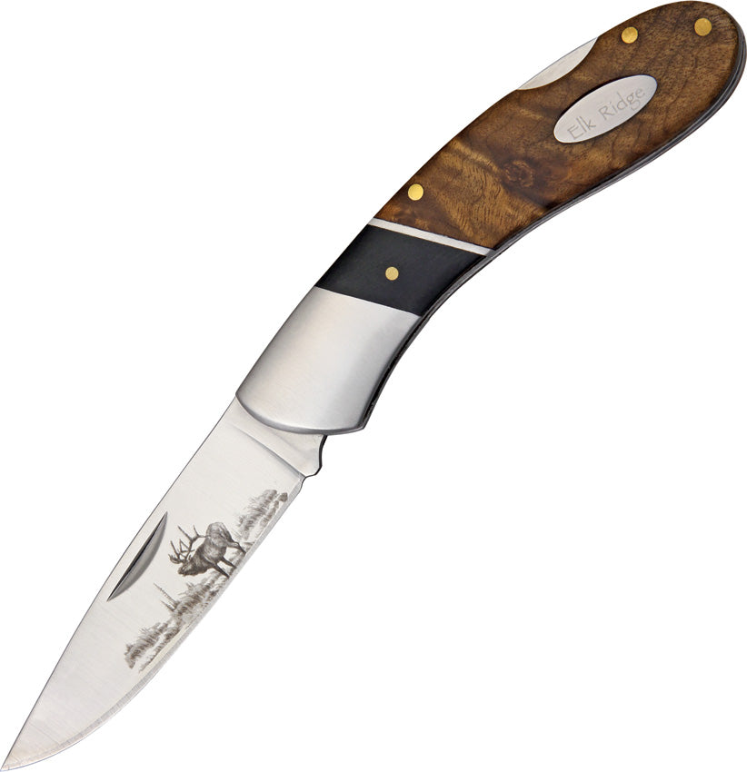 Lockback - ER072D