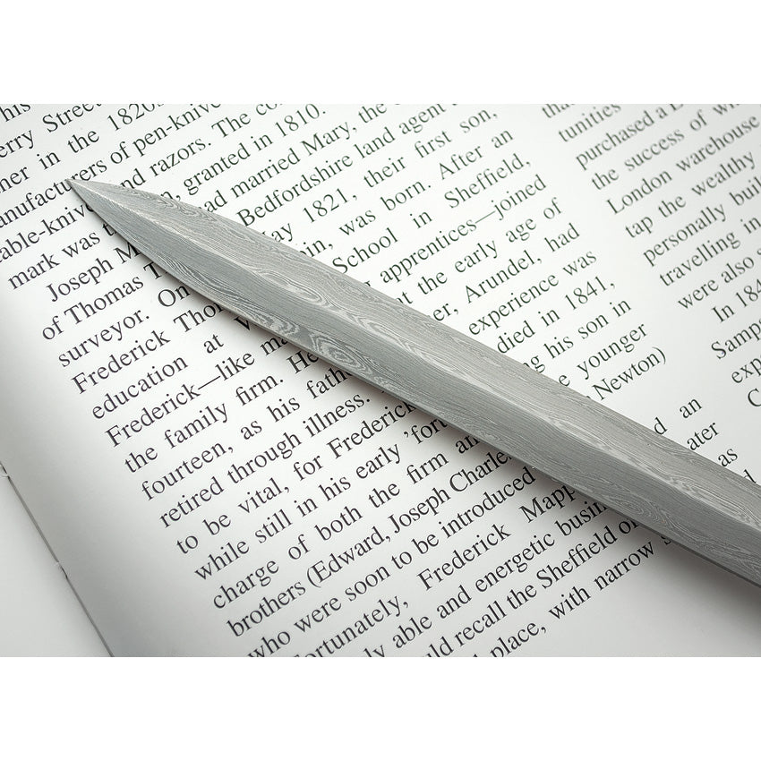 Taiji Cane Sword - DRK12140