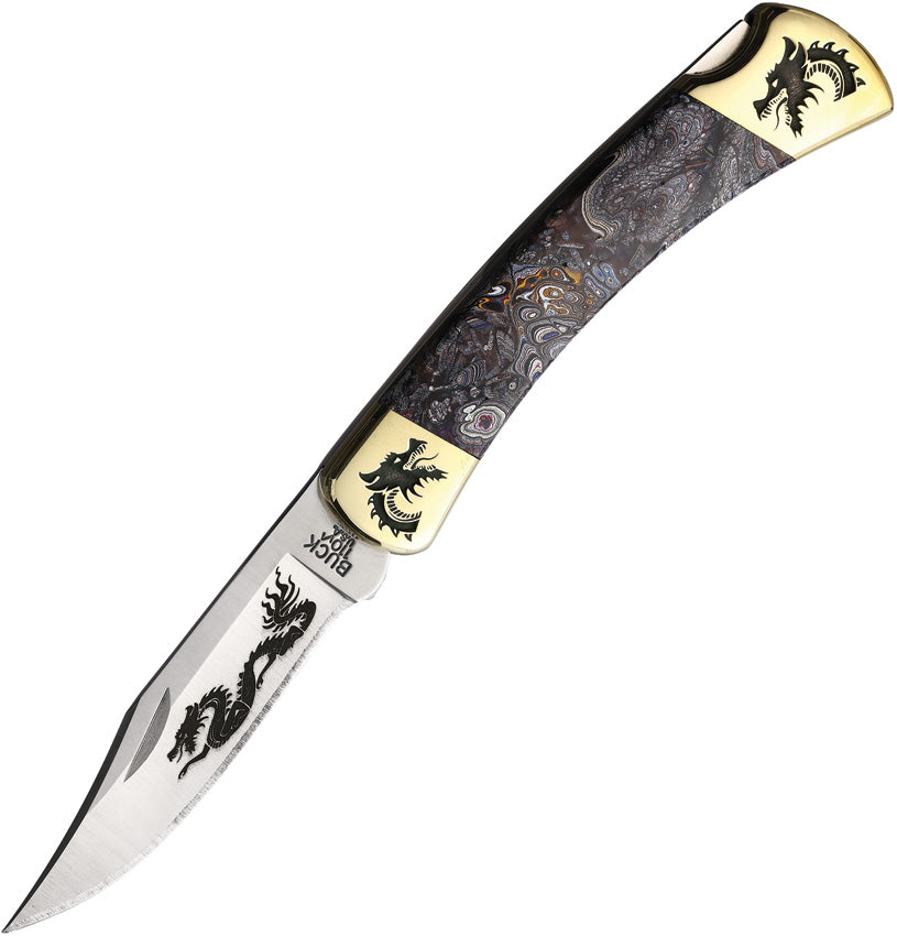 Custom Buck 110 Lockback - YH435