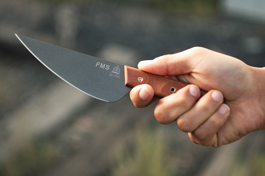 Frog Market Special - TPFMS05