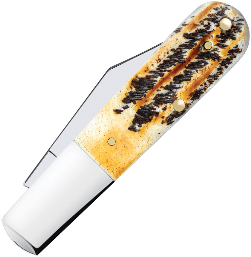 Barlow 6.5 Bonestag - CA65339