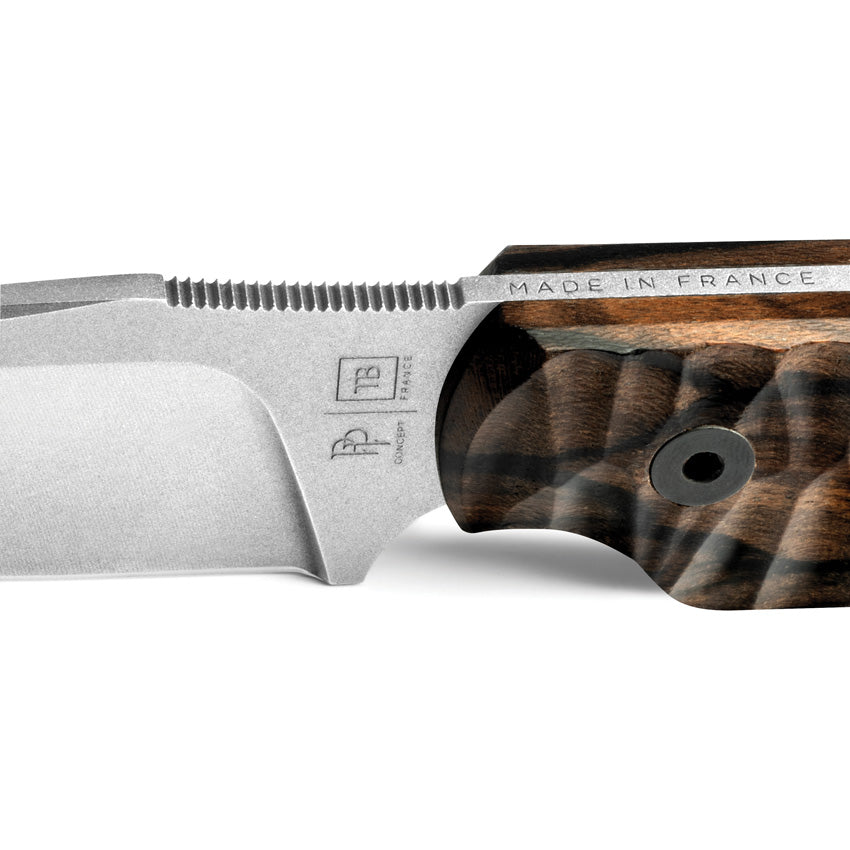 Commandeur Fixed Blade - TBO047