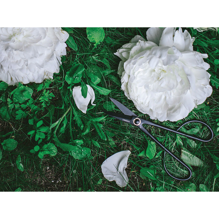 Artisan Trimming Shears - BARE048