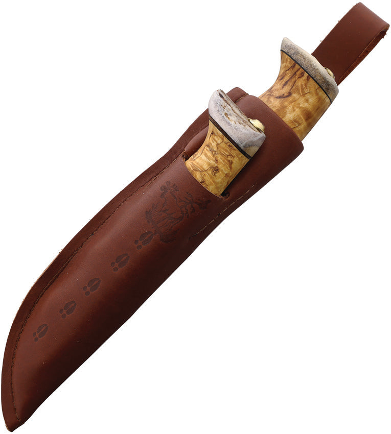 Fixed Blade Set Curly - WJ23NA