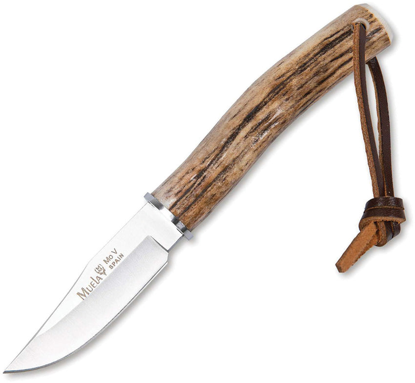 BW-6A Fixed Blade Stag - MU221