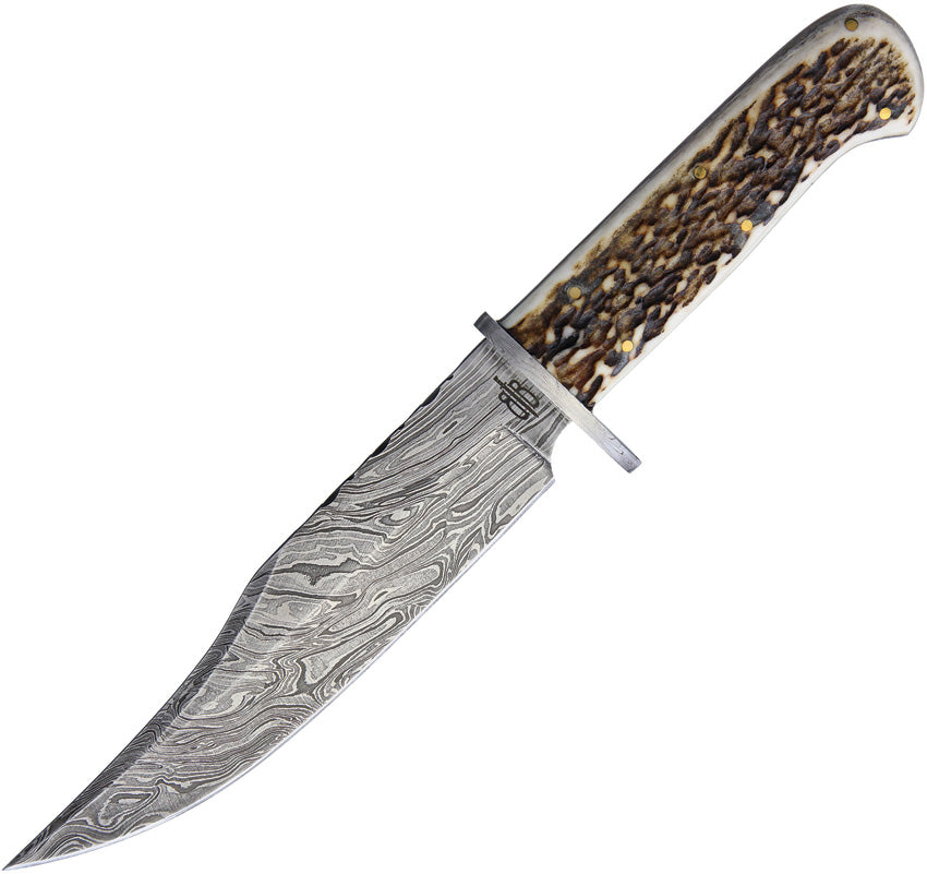 Kings Stag Bowie - BNB123213