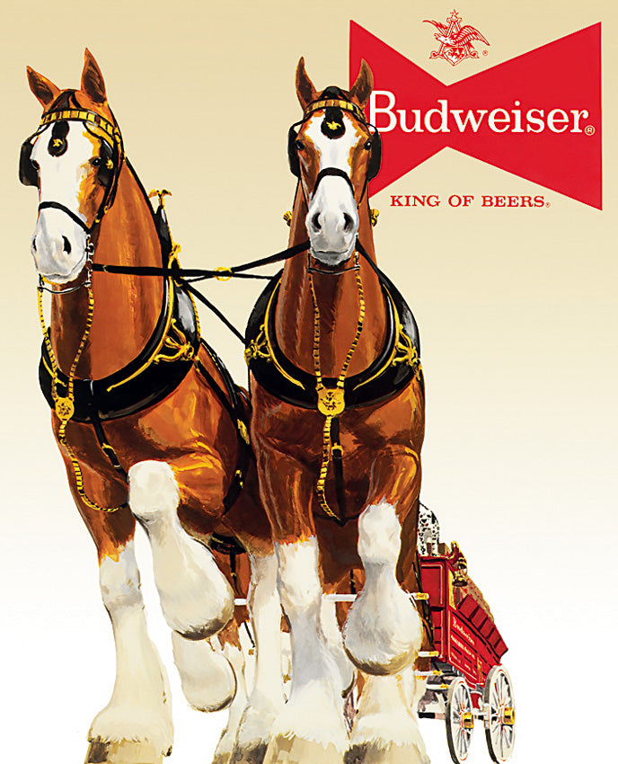 Budweiser Clydesdale Team - TSN1631