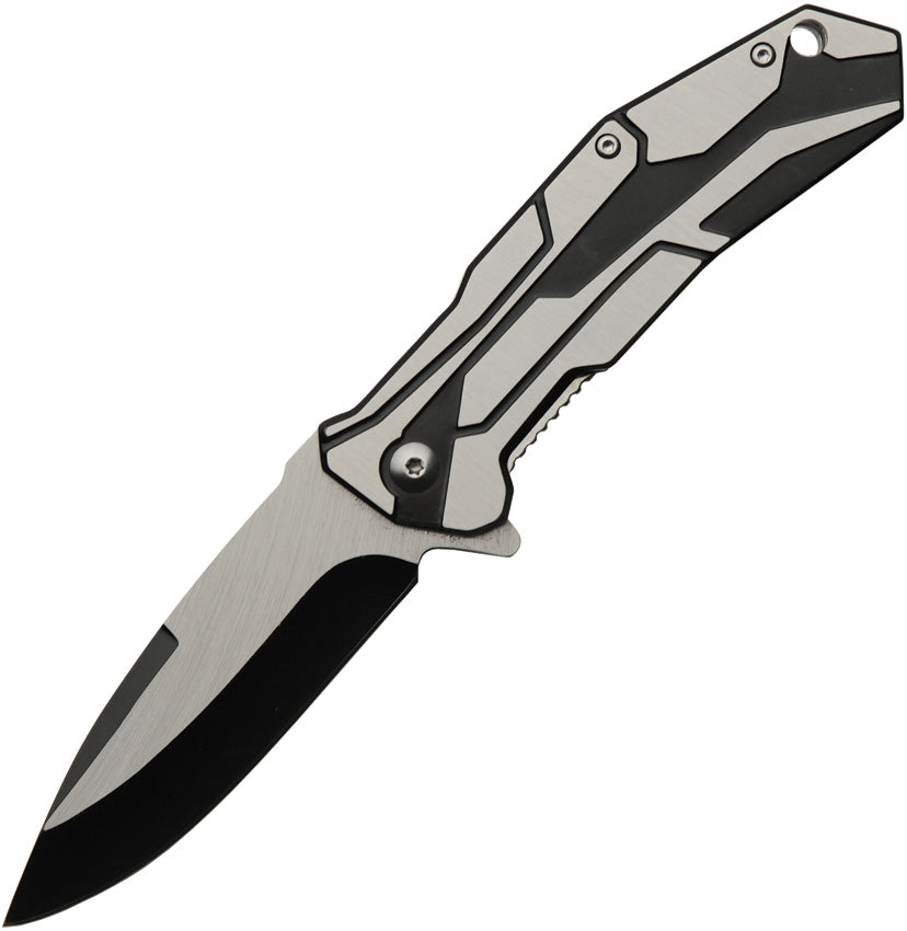 Black Raider Linerlock A/O - CN300541BK