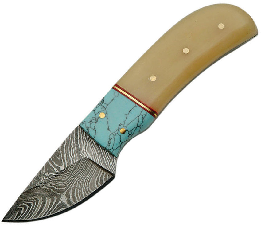 Fixed Blade Turquoise - DM1146TR