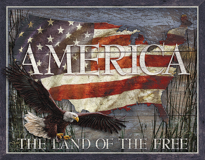 America Land of Free - TSN2159