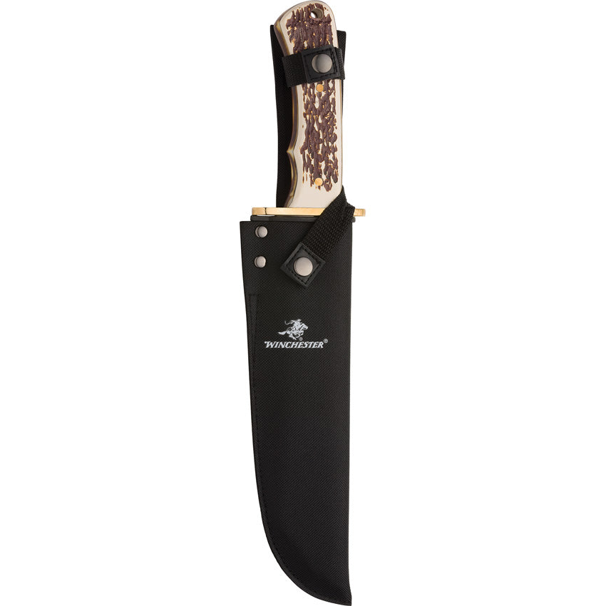 XL Stag Bowie 13.75in - WN6220055W