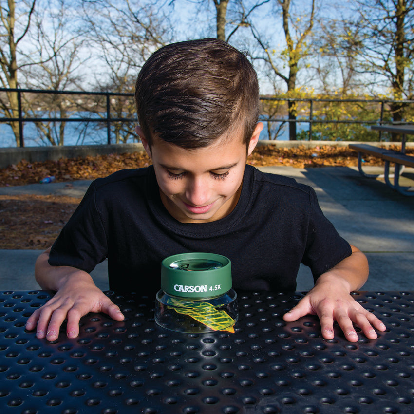 Bug Loupe Stand Magnifier - COHU55