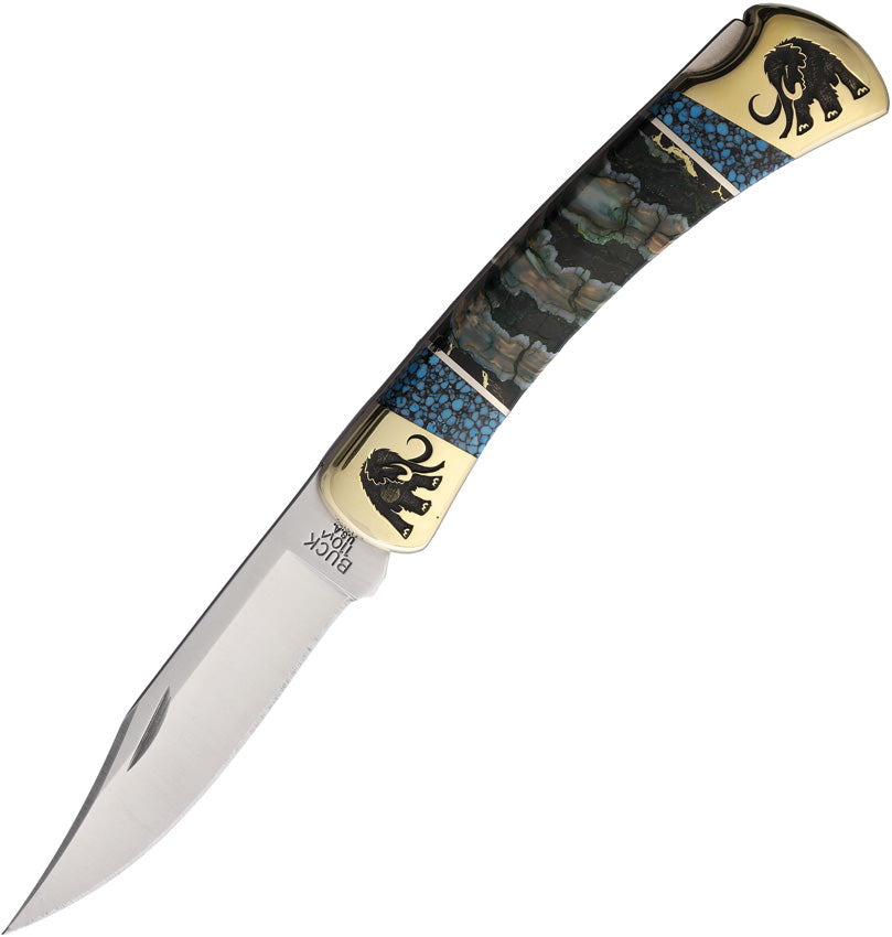 Custom Buck 110 Lockback - YH441