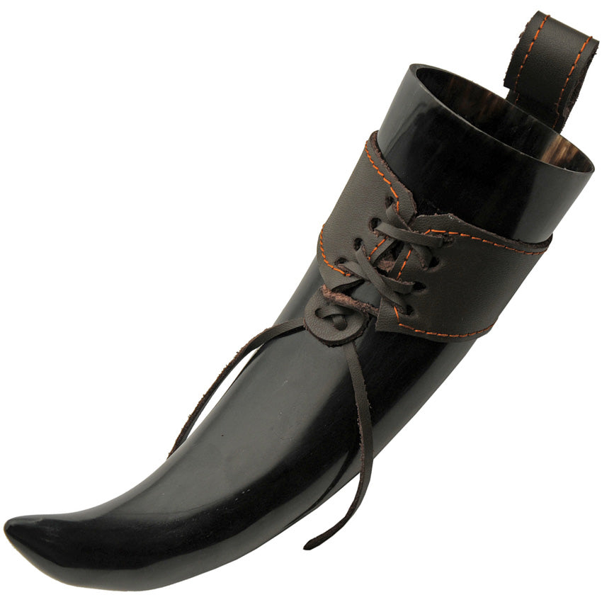 Viking Horn - PA230983