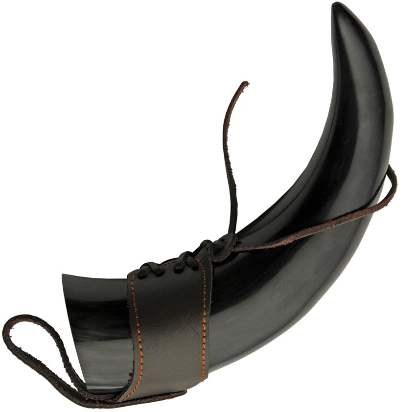 Viking Horn - PA230983