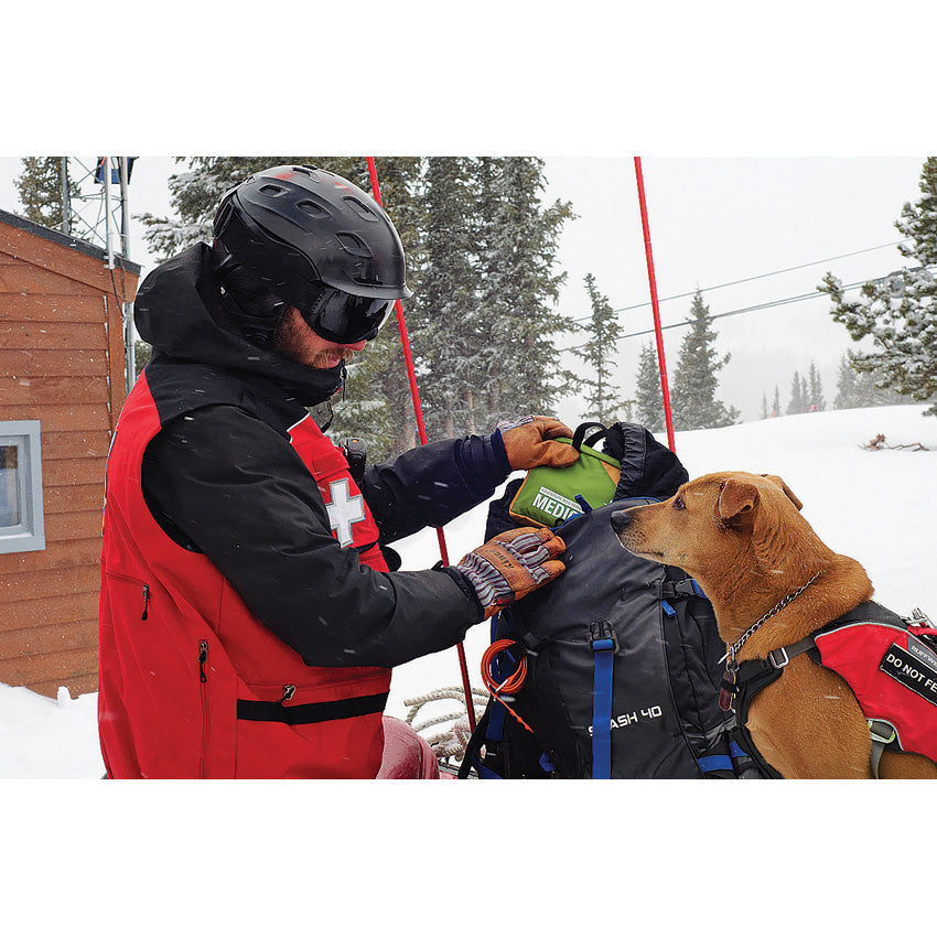 Adventure Dog Series Trail Dog - AD0115