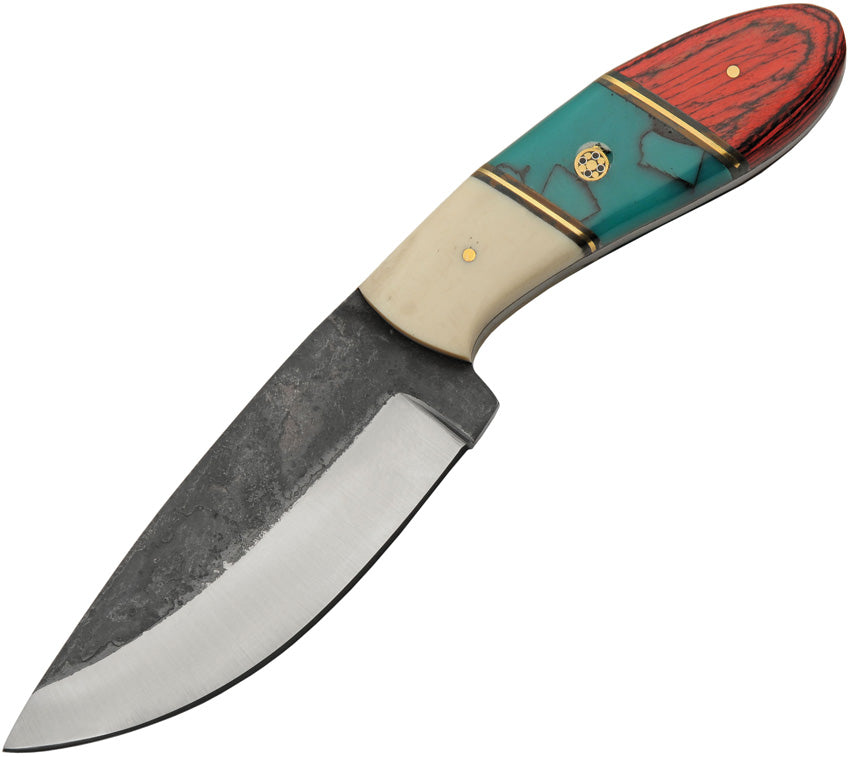 Redtail Hunter - PA203439