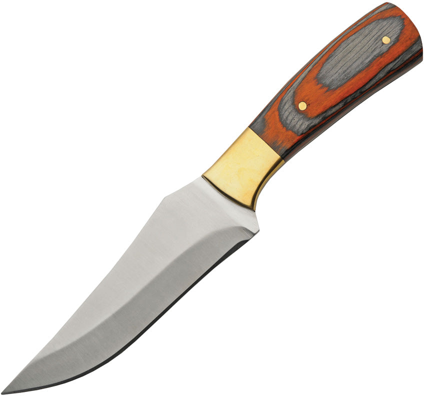 Cardinal Hunter - PA203448