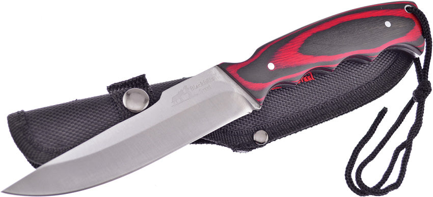 Black Hills Bush Master Red - FBKH002