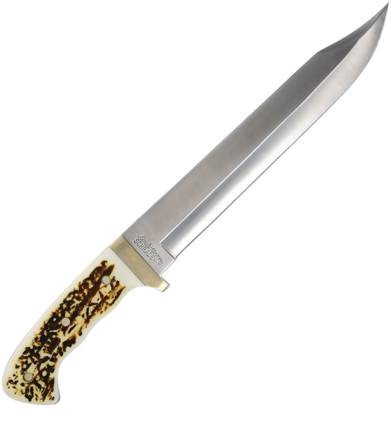 Next Generation Bowie - SCH1116426