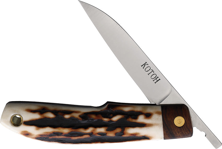 Folder Stag D2 - KOT422521