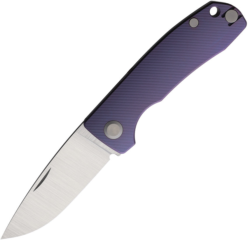 Harmony Folder Purple - PMP036