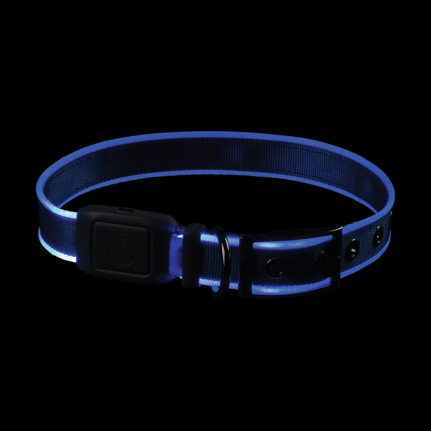 LED Dog Collar - N04790