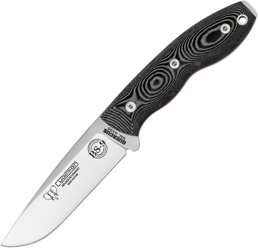 Quercus Fixed Blade - CUD160M