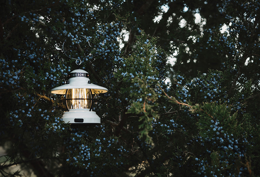 Edison Mini Lantern - BARE170