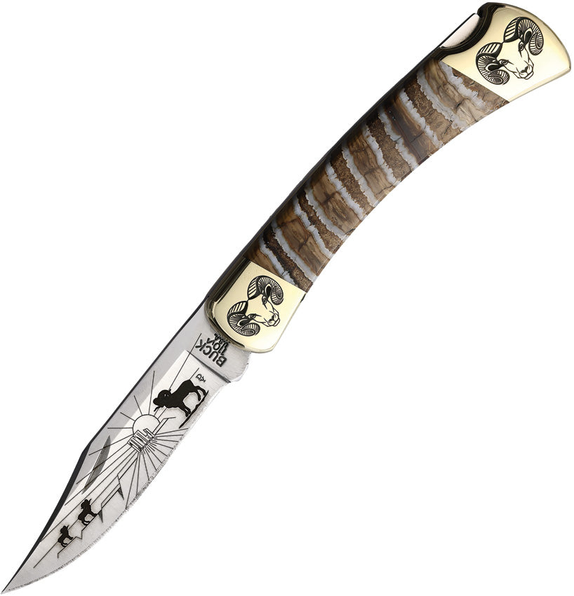 Custom Buck 110 Lockback - YH433