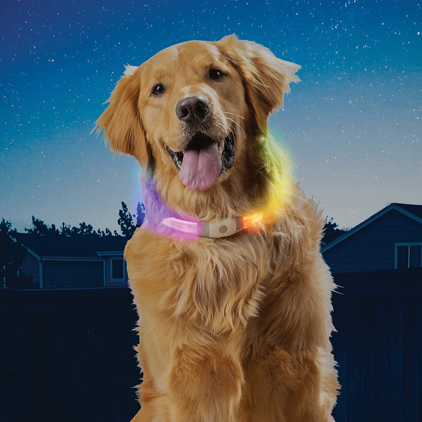 NiteHowl Max Safety Necklace - N05412