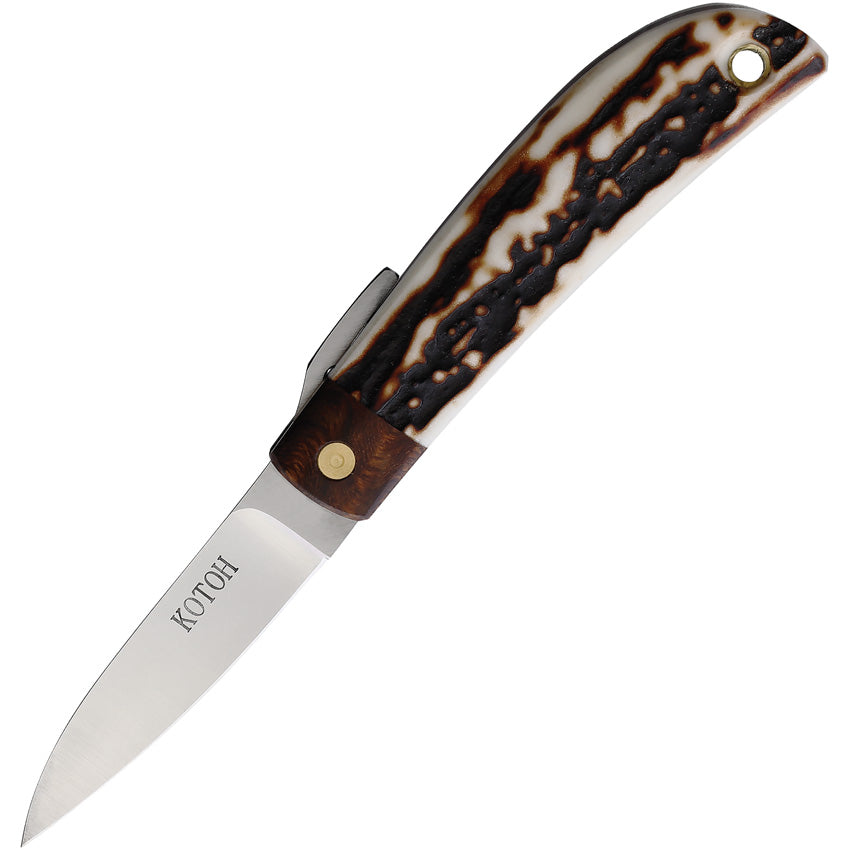 Folder Stag D2 - KOT422514