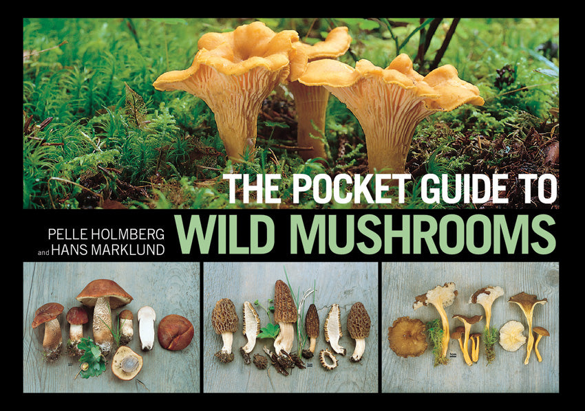 Pocket Guide To Wild Mushrooms - BK400