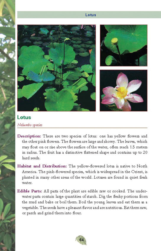 Pocket Guide to Edible Plants - BK480