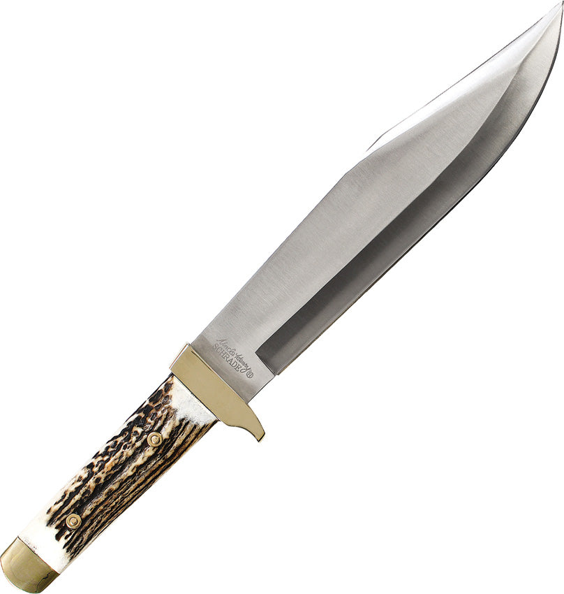 Stag Bowie - SCH184STUH