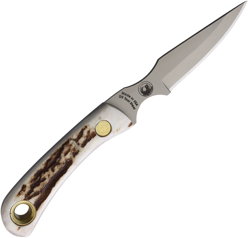Cub Bear Stag - KOA00007FG