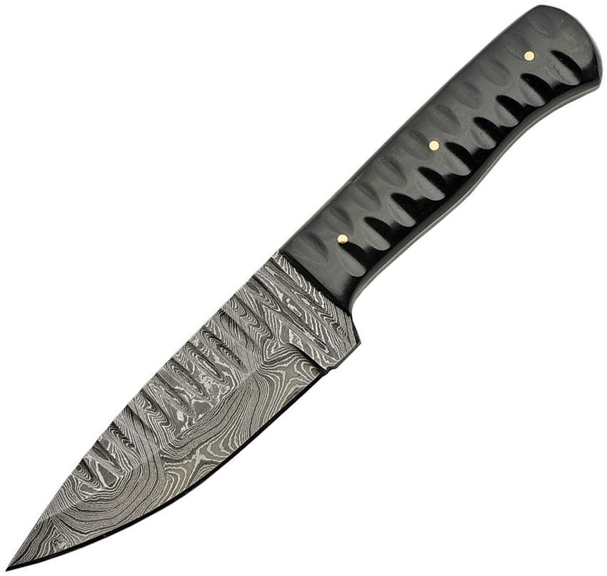 Sharktooth Fixed Blade Horn - DM1198HN