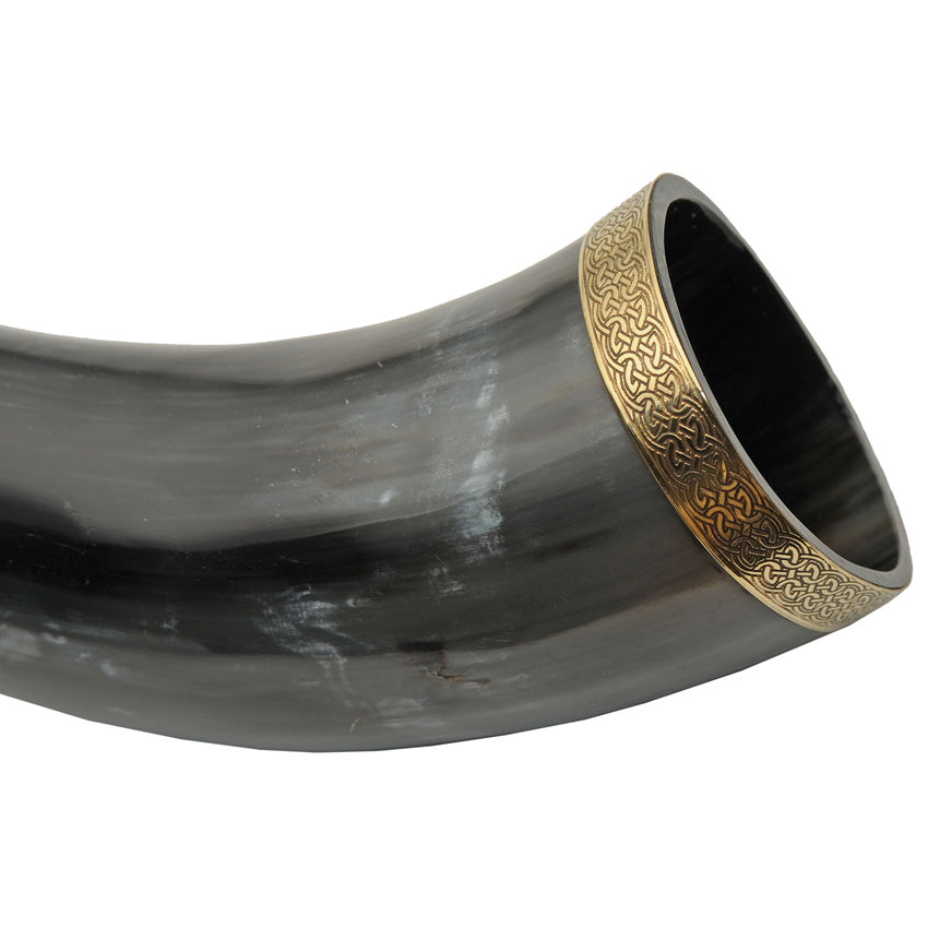 Viking Drinking Horn - PA230980