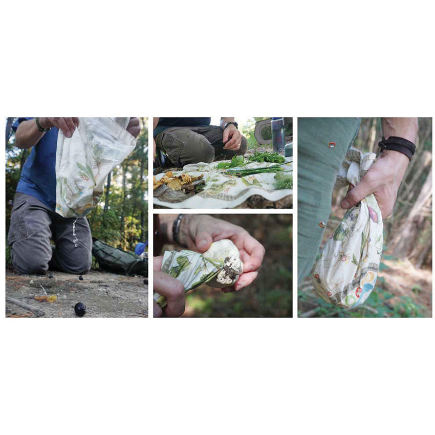 Bandana Foraging Reference - WSG008