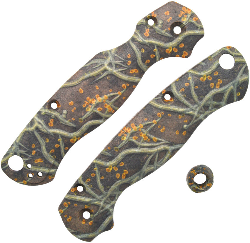 Para 2 Roots Scales - CHR10010701