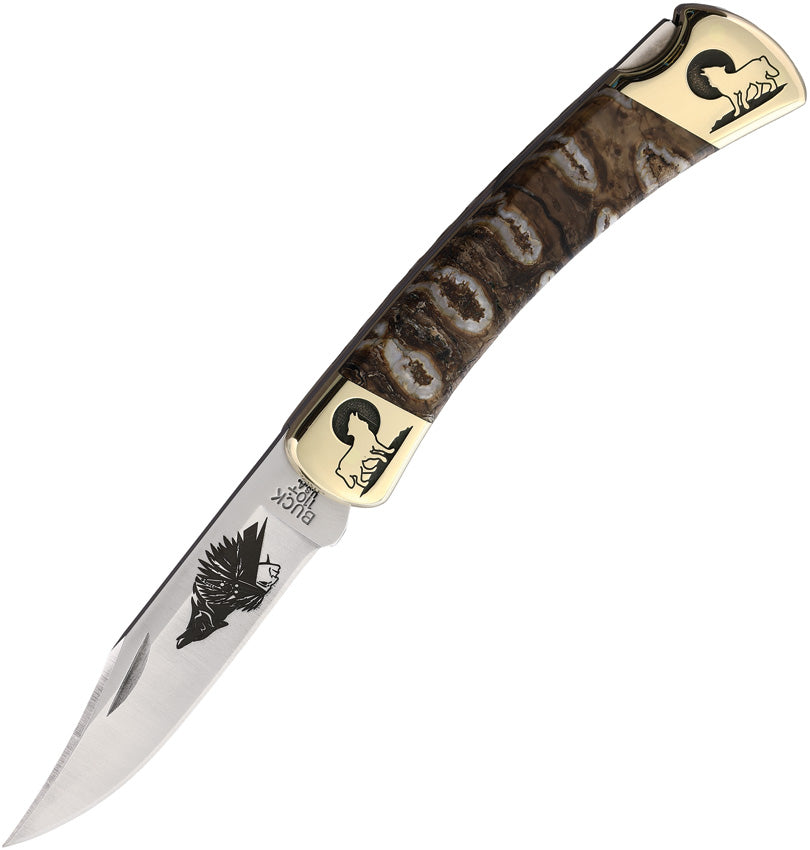 Custom Buck 110 Lockback - YH423
