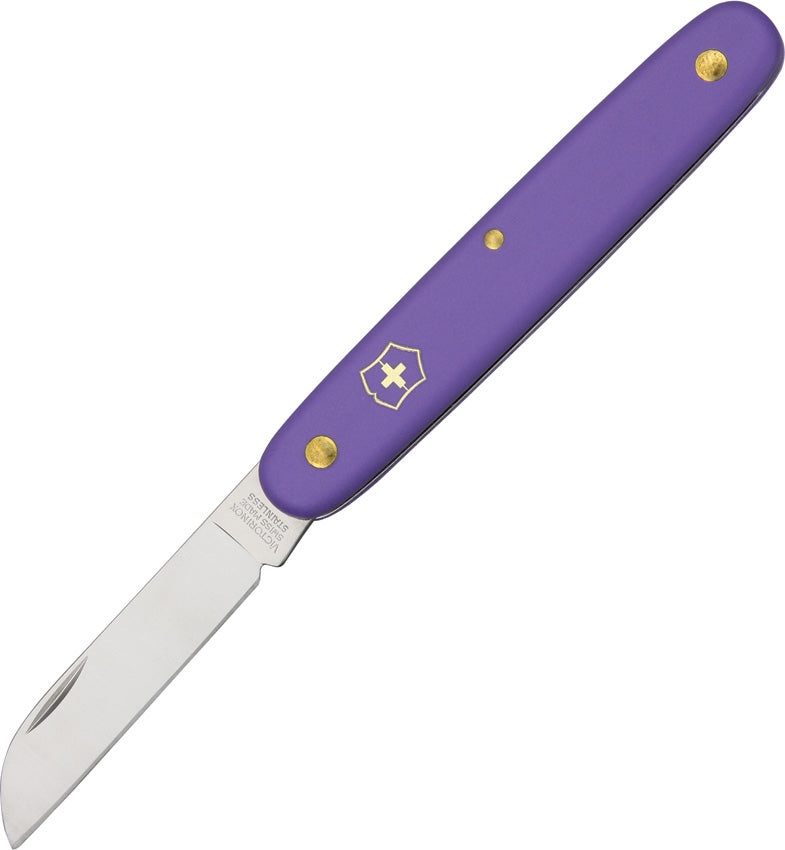 Floral Knife Purple - VN3905022