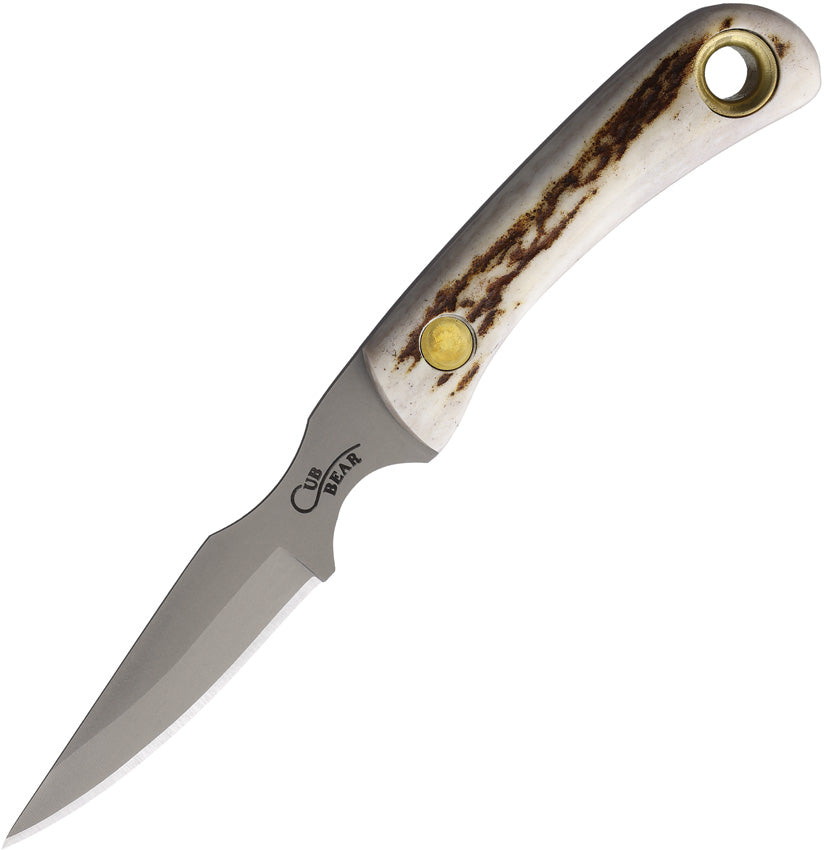 Cub Bear Stag - KOA00007FG